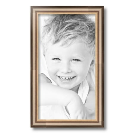 ArtToFrames 10x18  Anique Silver Picture Frame  Silver Wood Poster Frame  with Regular Glass and 2 (FBPL-4964)
