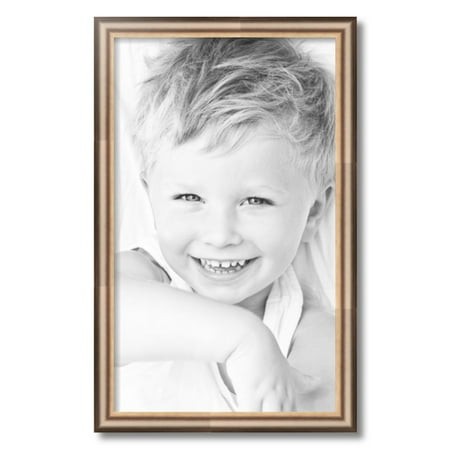 ArtToFrames 15x25  Anique Silver Picture Frame  Silver Wood Poster Frame  with Regular Acrylic and 2 (FBPL-4964)