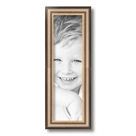 ArtToFrames 5x17  Anique Silver Picture Frame  Silver Wood Poster Frame  with Regular Glass and 2 (FBPL-4964)