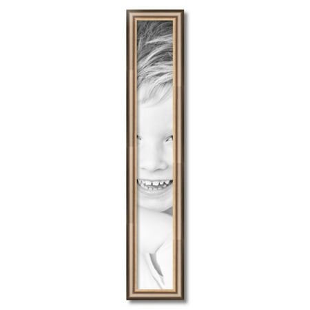 ArtToFrames 5x34  Anique Silver Picture Frame  Silver Wood Poster Frame  with Regular Acrylic and 2 (FBPL-4964)