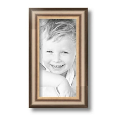 ArtToFrames 5x10  Anique Silver Picture Frame  Silver Wood Poster Frame  with Regular Glass and 2 (FBPL-4964)
