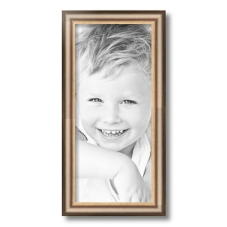 ArtToFrames 8x18  Anique Silver Picture Frame  Silver Wood Poster Frame  with Regular Glass and 2 (FBPL-4964)