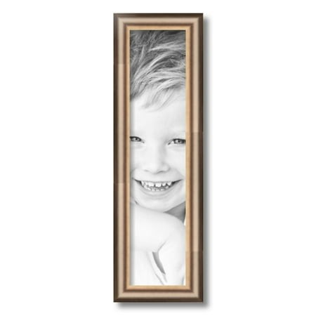 ArtToFrames 5x21  Anique Silver Picture Frame  Silver Wood Poster Frame  with Regular Acrylic and 2 (FBPL-4964)