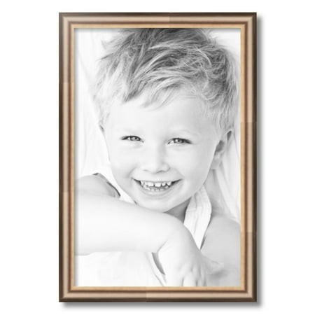 ArtToFrames 15x23  Anique Silver Picture Frame  Silver Wood Poster Frame  with Regular Acrylic and 2 (FBPL-4964)