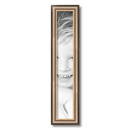ArtToFrames 4x24  Anique Silver Picture Frame  Silver Wood Poster Frame  with Regular Acrylic and 2 (FBPL-4964)