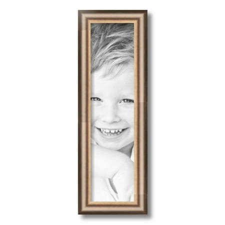 ArtToFrames 5x19  Anique Silver Picture Frame  Silver Wood Poster Frame  with Regular Glass and 2 (FBPL-4964)