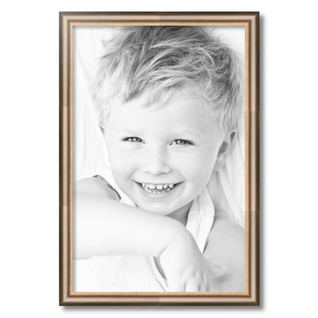 ArtToFrames 17x26  Anique Silver Picture Frame  Silver Wood Poster Frame  with Regular Acrylic and 2 (FBPL-4964)