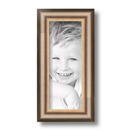 ArtToFrames 4x10  Anique Silver Picture Frame  Silver Wood Poster Frame  with Regular Glass and 2 (FBPL-4964)