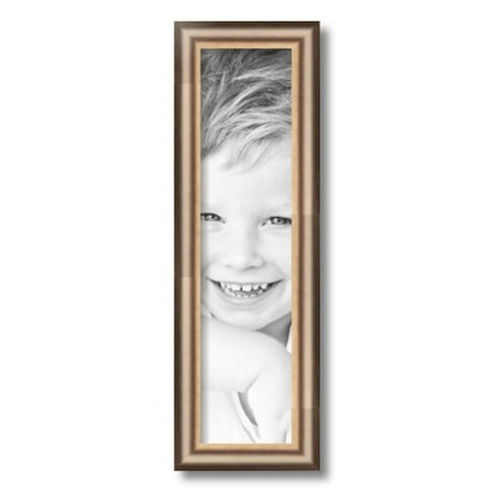 ArtToFrames 5x20  Anique Silver Picture Frame  Silver Wood Poster Frame  with Regular Glass and 2 (FBPL-4964)