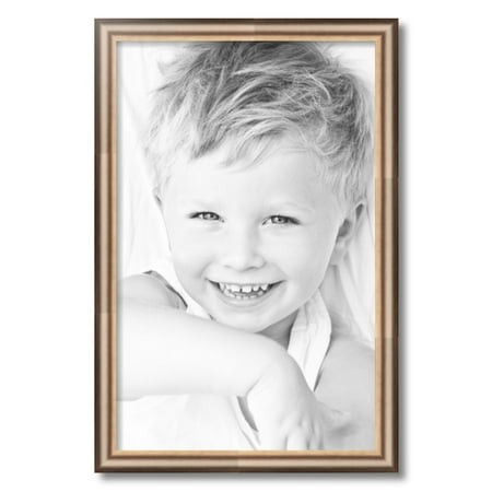 ArtToFrames 16x25  Anique Silver Picture Frame  Silver Wood Poster Frame  with Regular Acrylic and 2 (FBPL-4964)