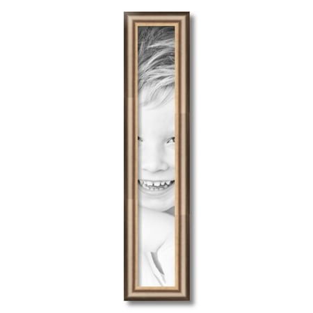 ArtToFrames 4x25  Anique Silver Picture Frame  Silver Wood Poster Frame  with Regular Acrylic and 2 (FBPL-4964)