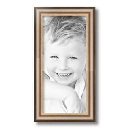 ArtToFrames 7x15  Anique Silver Picture Frame  Silver Wood Poster Frame  with Regular Glass and 2 (FBPL-4964)