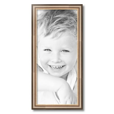 ArtToFrames 11x25  Anique Silver Picture Frame  Silver Wood Poster Frame  with Regular Acrylic and 2 (FBPL-4964)