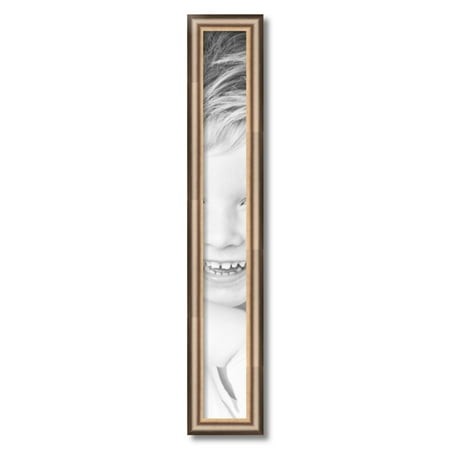 ArtToFrames 4x32  Anique Silver Picture Frame  Silver Wood Poster Frame  with Regular Acrylic and 2 (FBPL-4964)