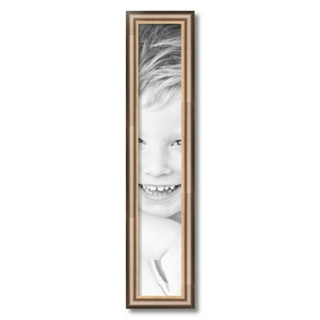 ArtToFrames 5x29  Anique Silver Picture Frame  Silver Wood Poster Frame  with Regular Acrylic and 2 (FBPL-4964)