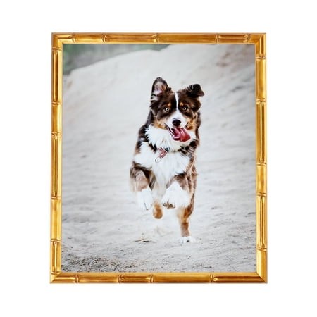 ArtToFrames 14  X 14  .75 Picture Frame  14x14 Inch Gold Wood Poster Frame (WOM-4875)  1 Pack