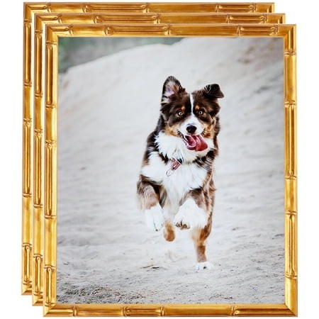 ArtToFrames 8  X 10  .75 Picture Frame  8x10 Inch Gold Wood Poster Frame (WOM-4875)  3 Pack