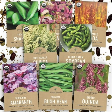 Organic Grain & Protein Seeds Variety MVR1 Pack - 7 Individual Season - Biobio Quinoa  Burgundy Amaranth  Provider Bush Bean & More! for Indoor & Outd