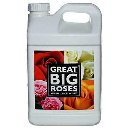Great Big Roses – Soil and Rose Fertilizer Booster to Grow the Best Roses and Flowers; Rose Food Compost Extract for Rose Bush  2.5 Gallon Concentra