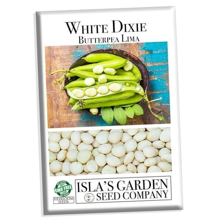 White Dixie Butterpea Lima Bush Bean Seeds for Planting  25+ Heirloom Seeds per Packet Non GMO Seeds  Scientific Name Phaseolus Lunatus  Great Home Ga