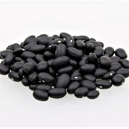 Black Turtle Bush Bean Seeds - 500 Count Seed Pack - Superbly Tasty and Produces High Yields - Country Creek LLC
