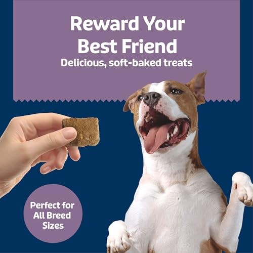 Blue Buffalo Health Bars Chicken and Berry Soft Chewy Dog Treats - 9oz thumbnail
