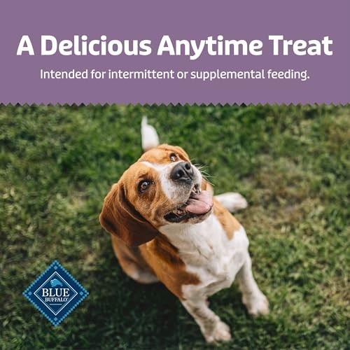 Blue Buffalo Health Bars Chicken and Berry Soft Chewy Dog Treats - 9oz thumbnail