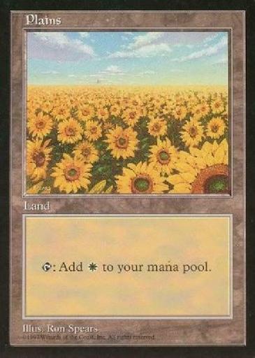 Plains - Japan (Apac 1) NM MTG Promo Magic
