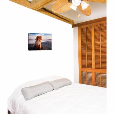 PTM Images 12.in X 10.in ''Puppy Posing I'' Printed Canvas Wall Art, Multicolored