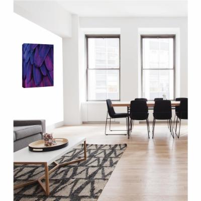 PTM Images 12 in. X 10 in. ''HD Feathers'' Printed Canvas Wall Art, Multicolored