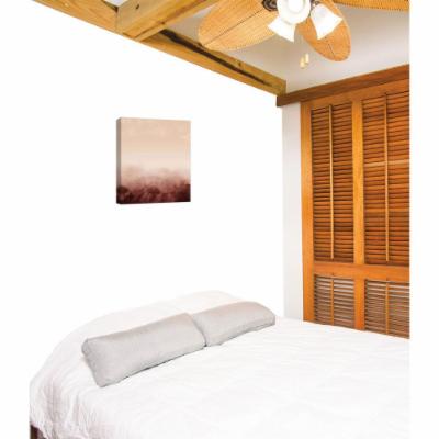 PTM Images 12 in. X 10 in. 