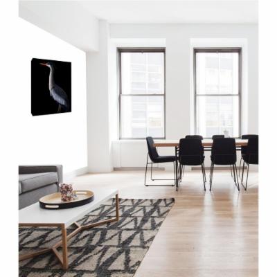 PTM Images 12 in. X 10 in. 