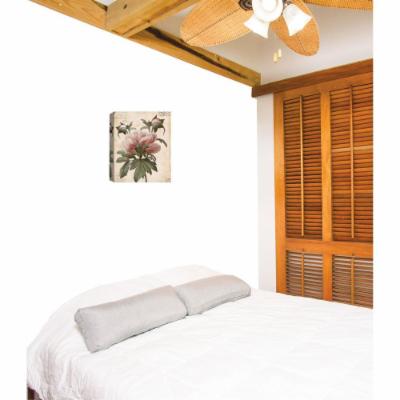 PTM Images 12 in. X 10 in. ''Botanical Postal'' by Printed Canvas Wall Art, Multicolored
