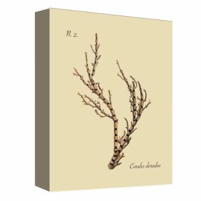 PTM Images 12.in X 10.in ''Coral Structure II'' Printed Canvas Wall Art, Multicolored