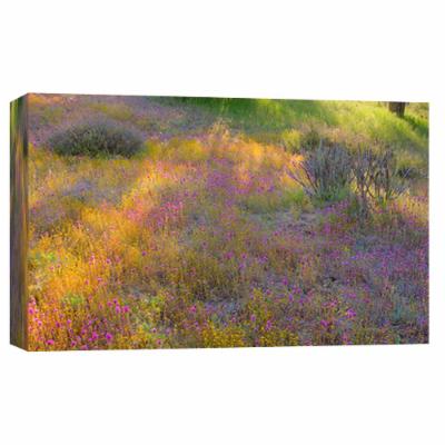 PTM Images 10 in. X 12 in. ''High Desert Spring 2'' Printed Canvas Wall Art, Multicolored