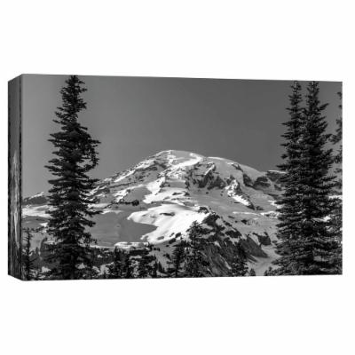 PTM Images 10 in. X 12 in. ''Through the Forest, Mount Rainier'' Printed Canvas Wall Art, Multicolored