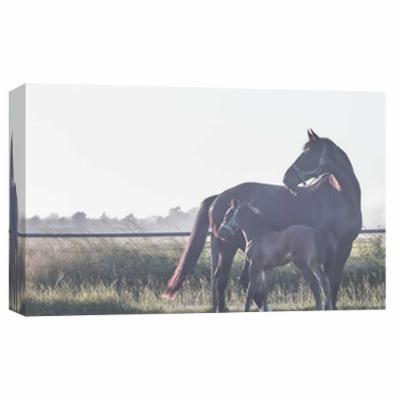 PTM Images 10 in. X 12 in. ''Schagen Pair Looking'' Printed Canvas Wall Art, Multicolored