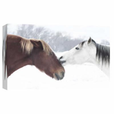 PTM Images 10 in. X 12 in. ''Grand Canyon Old Saddle 1'' Printed Canvas Wall Art, Multicolored