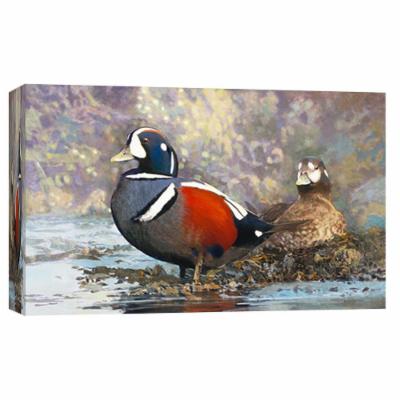 PTM Images 10 in. X 12 in. ''Harlequin Ducks'' Printed Canvas Wall Art, Multicolored