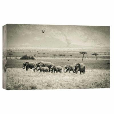 PTM Images 10 in. X 12 in. ''Grazing Elephants'' Printed Canvas Wall Art, Multicolored