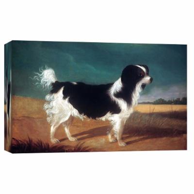 PTM Images 10 in. X 12 in. ''King Charles Spaniel'' Printed Canvas Wall Art, Multicolored