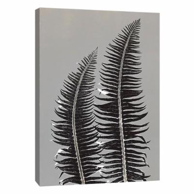 PTM Images 12 in. X 10 in. ''Gray Ferns'' Printed Canvas Wall Art, Multicolored