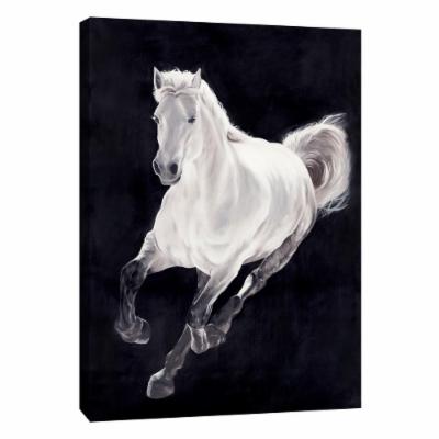 PTM Images 12 in. X 10 in. ''White Horse'' Printed Canvas Wall Art, Multicolored