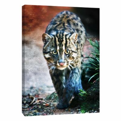 PTM Images 12 in. X 10 in. ''Fisher Cat B'' Printed Canvas Wall Art, Multicolored