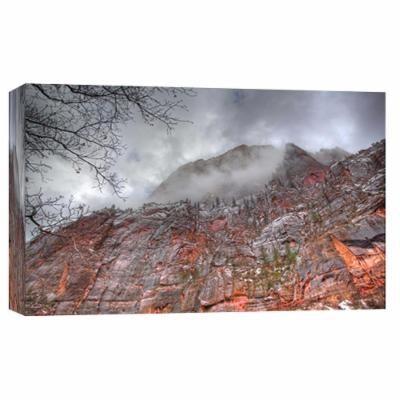 PTM Images 10 in. X 12 in. ''Canyon Wall, Zion'' Printed Canvas Wall Art, Multicolored