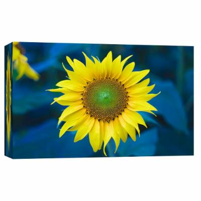PTM Images 10 in. X 12 in. ''Solitary Sunflower'' Printed Canvas Wall Art, Multicolored
