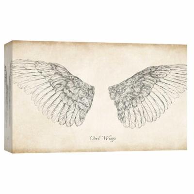 PTM Images 10 in. X 12 in. ''Owl Wings'' Printed Canvas Wall Art, Multicolored