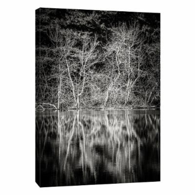 PTM Images 12 in. X 10 in. ''Lowland Winter Forest No 15, Tiger Mountain'' Printed Canvas Wall Art, Multicolored