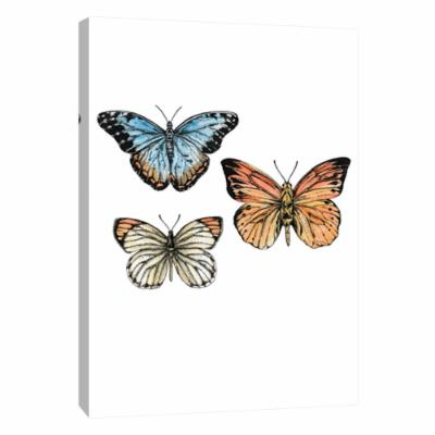 PTM Images 12 in. X 10 in. ''Curiosity Collectables No.4'' Printed Canvas Wall Art, Multicolored