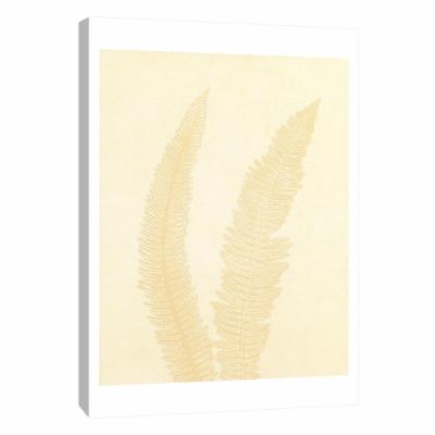 PTM Images 12 in. X 10 in. ''Gray Fern 7'' Printed Canvas Wall Art, Multicolored
